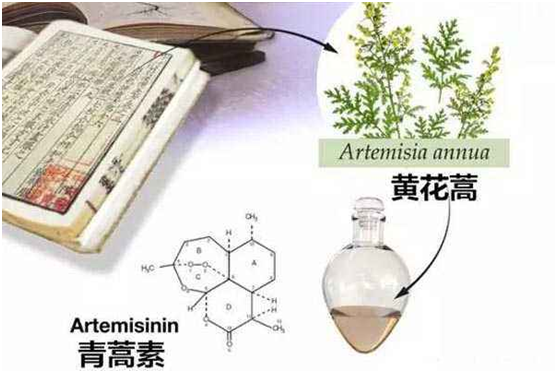 米兰注册：向中医药看齐，与世界共享中医药文化(图1)